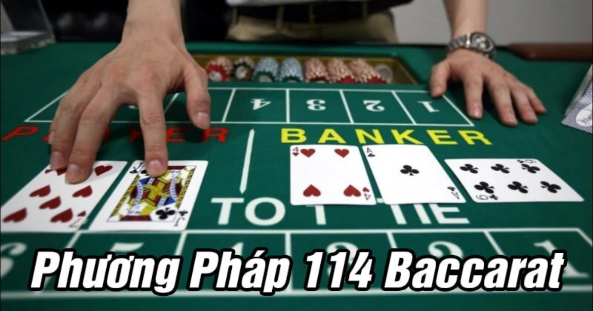 Cách áp dụng phương pháp 114 baccarat